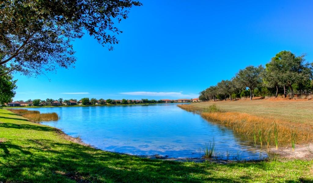Lake Views 