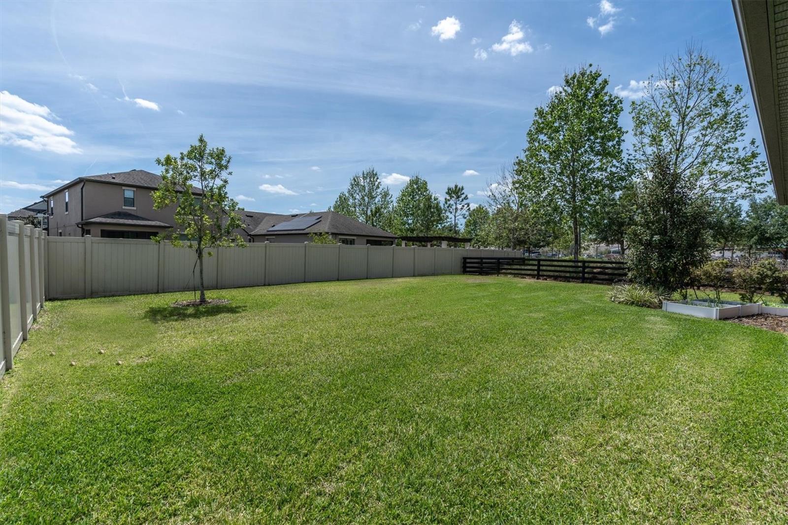 ENORMOUS BACK YARD!