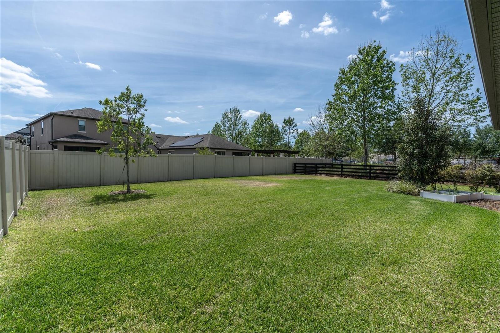 BACK YARD