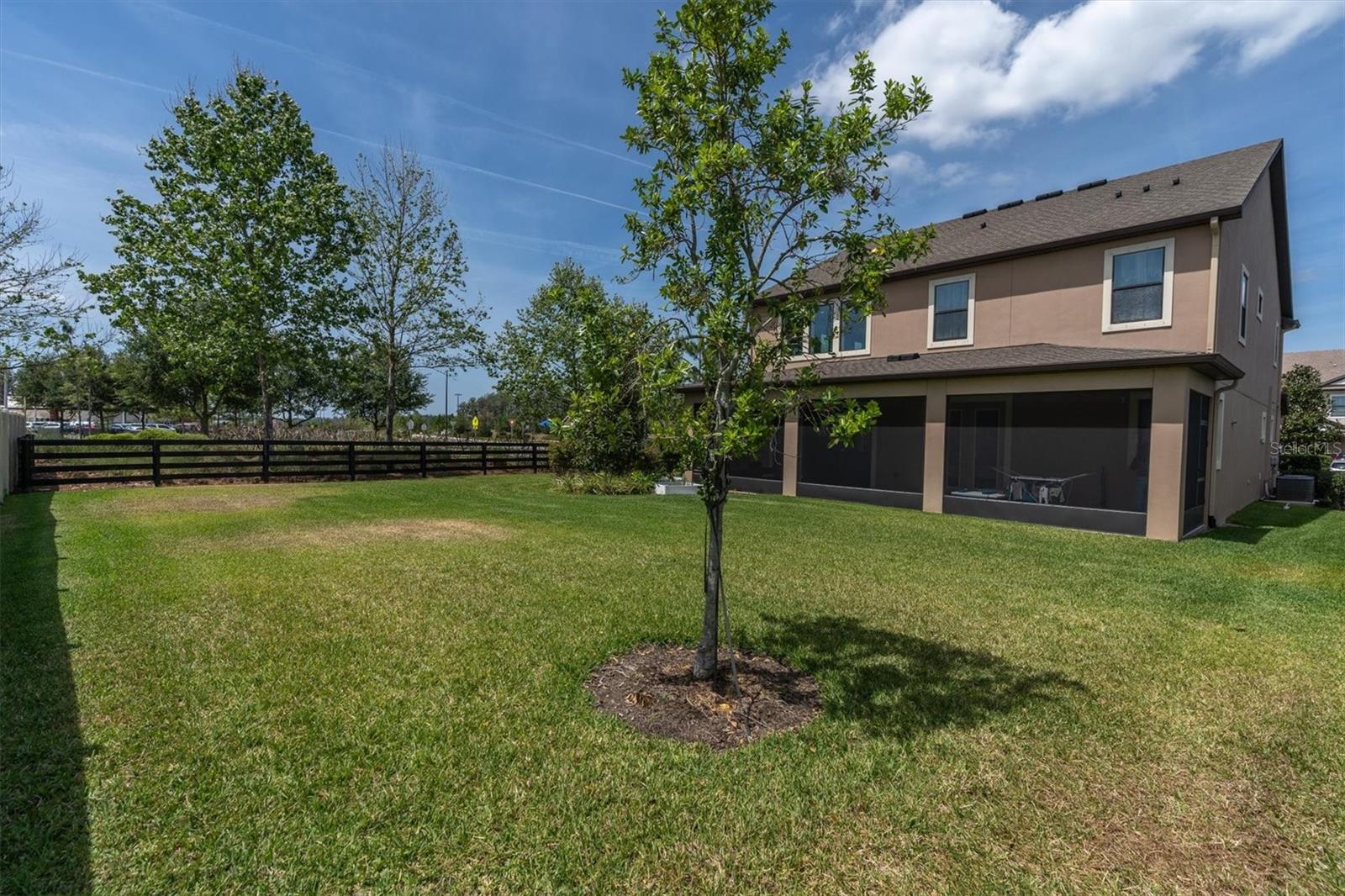 GRAND BACKYARD