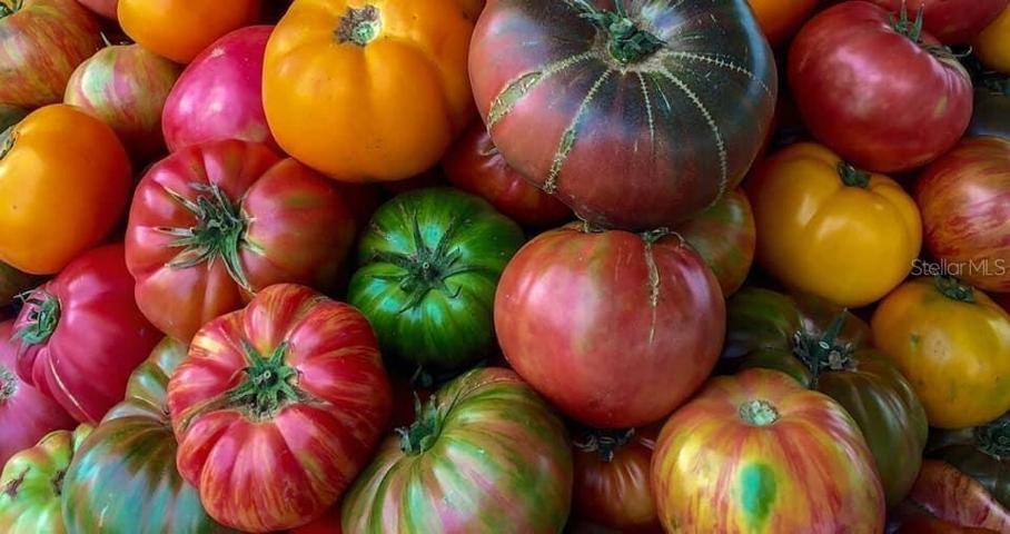 Organic Produce