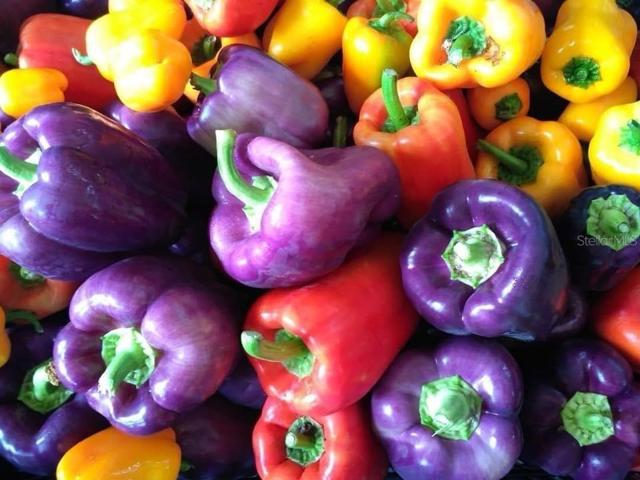 Organic Produce