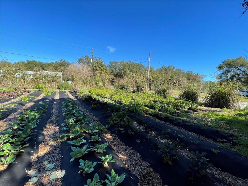 Lots of plots to grow or develop rentals