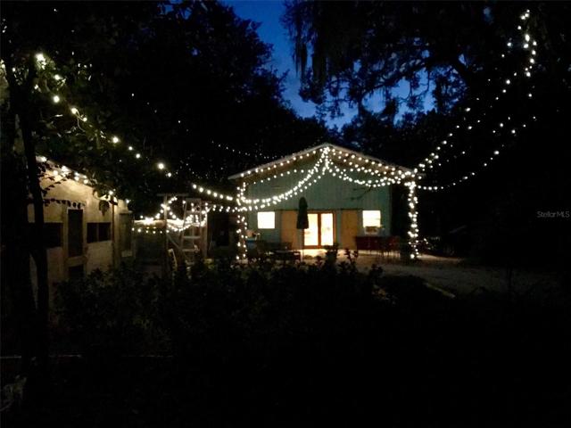 The "Treehouse" (rental)