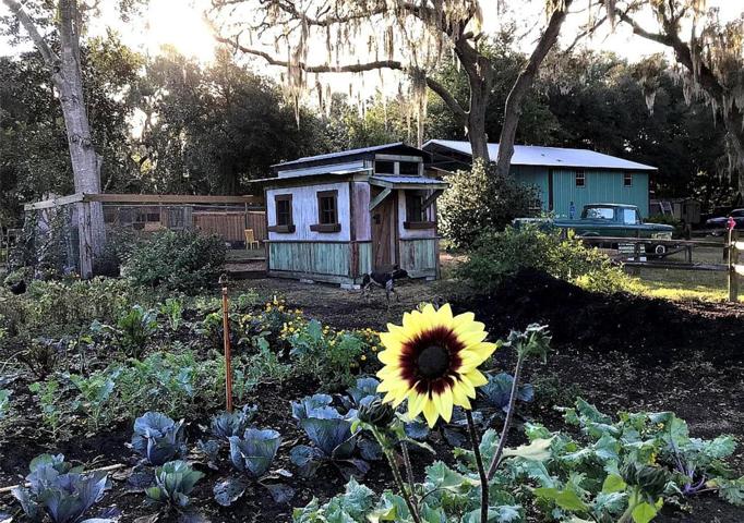 Front field looking to chicken coops