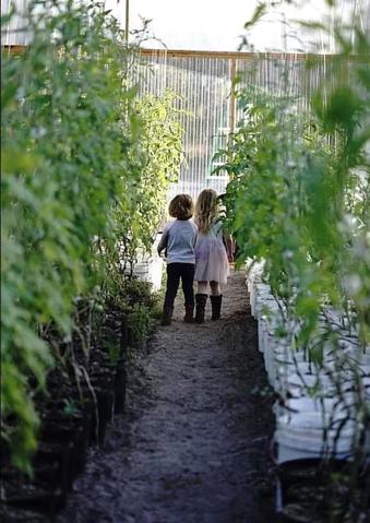 Greenhouse visitors
