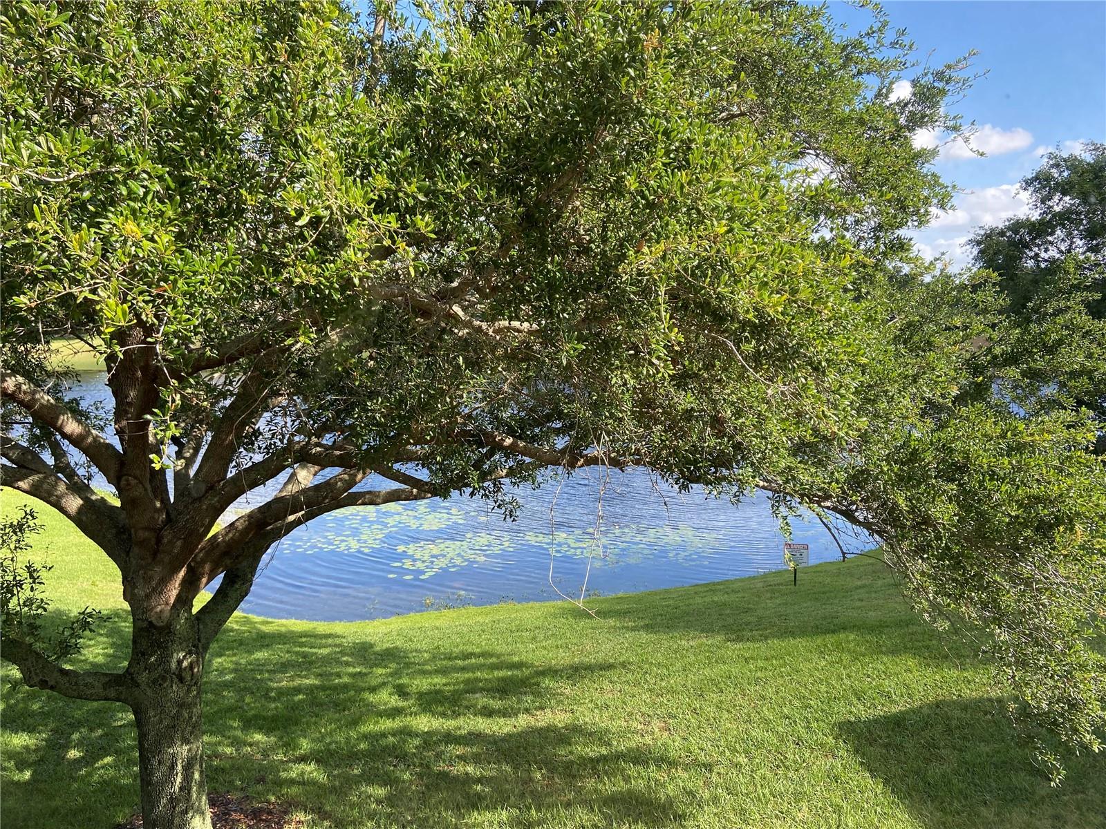 View from master bedroom