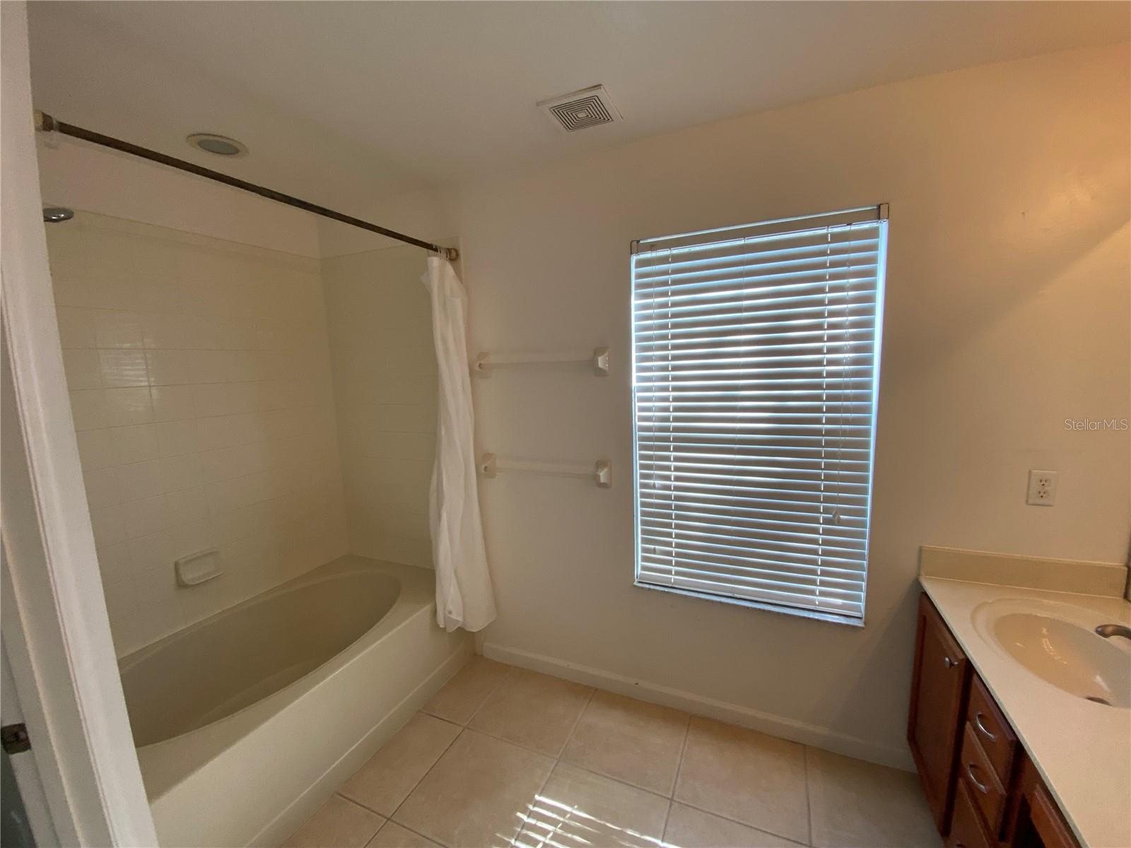 Master Bathroom vanity
