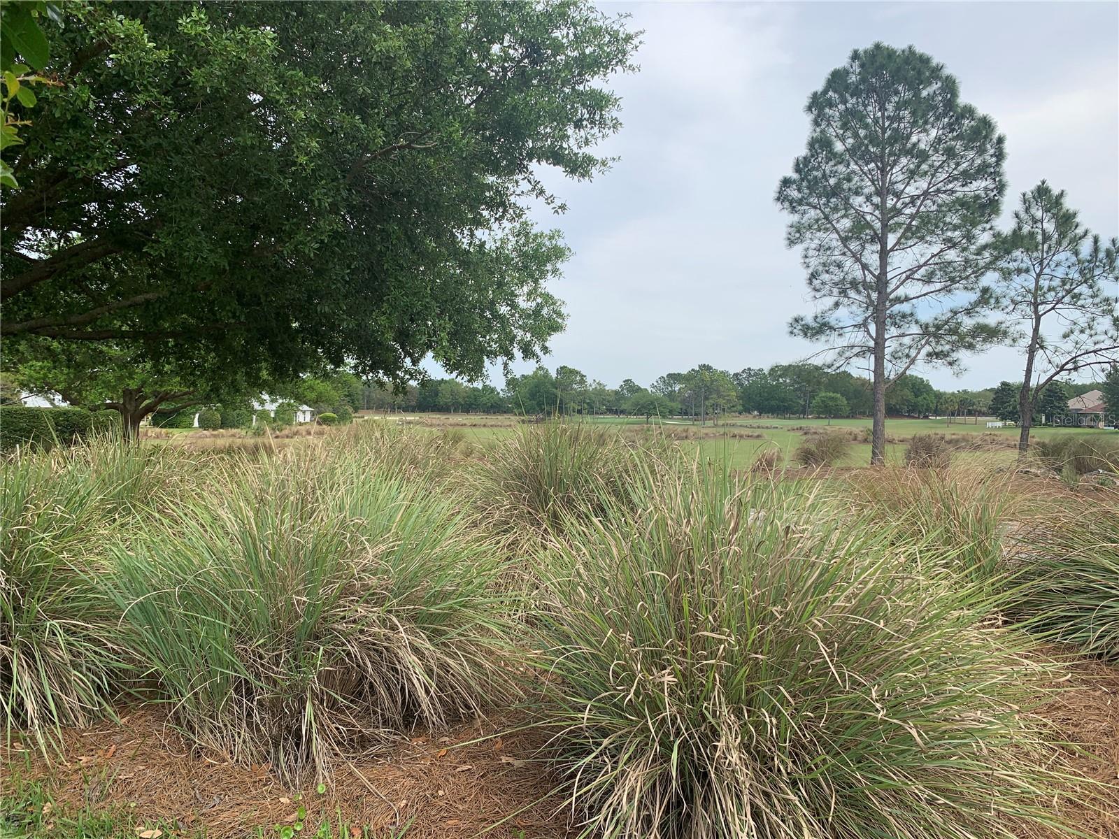 View of Golf Course