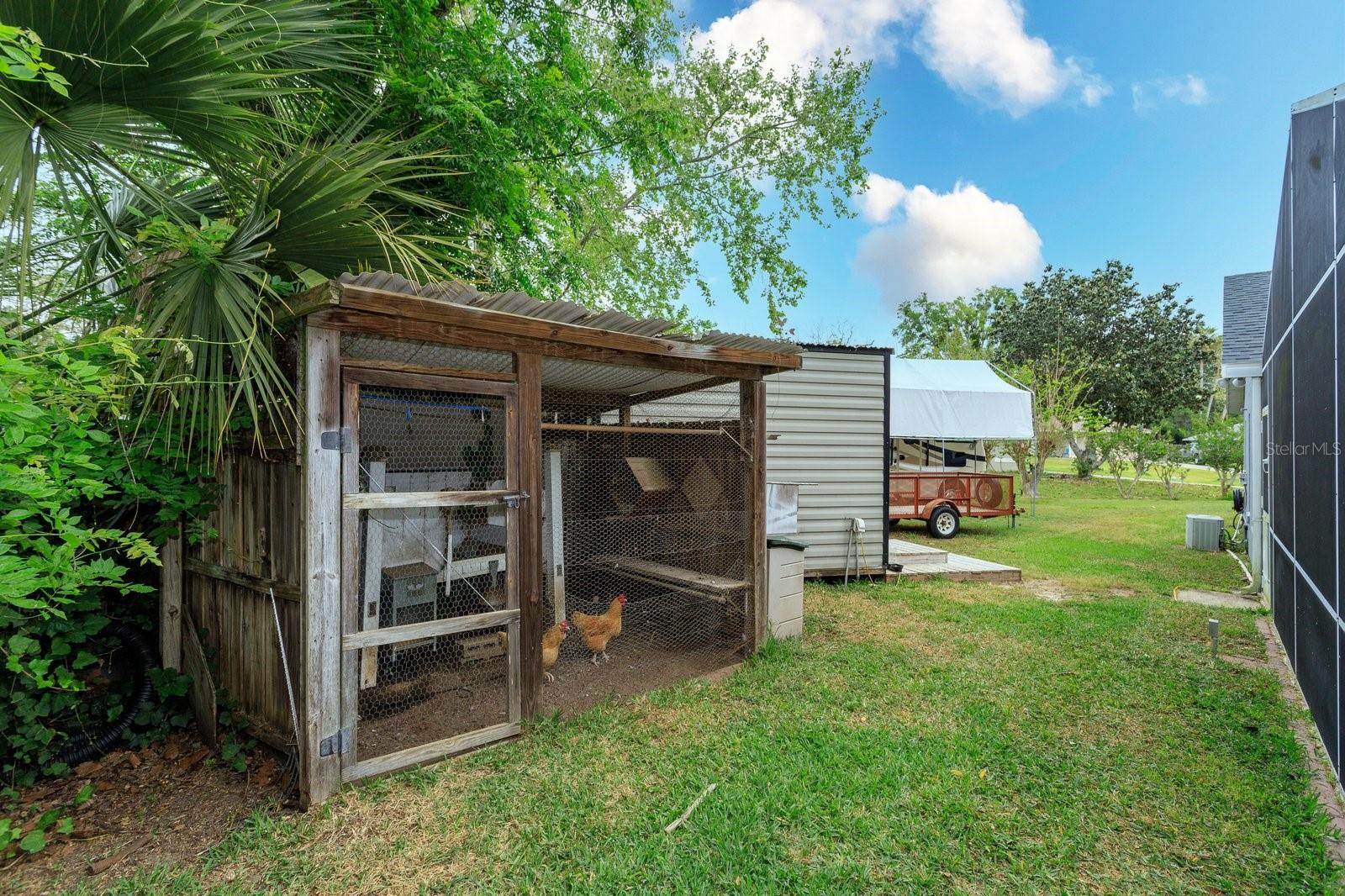 Side Yard 2