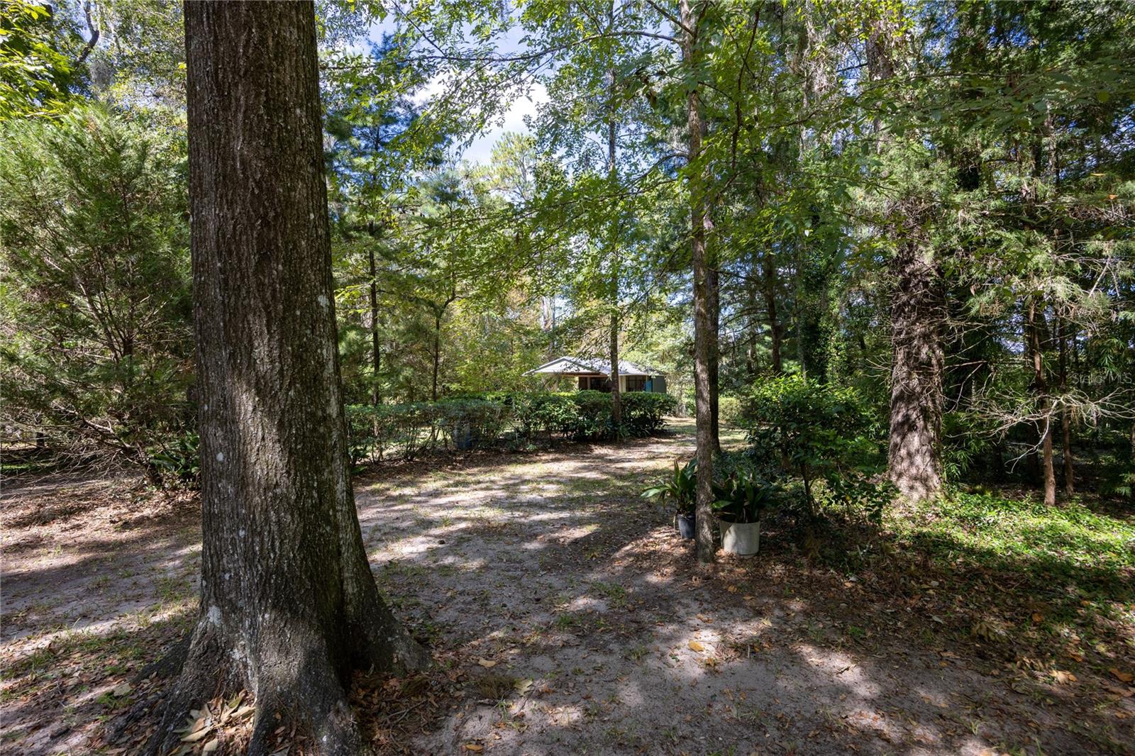 1 acre lot