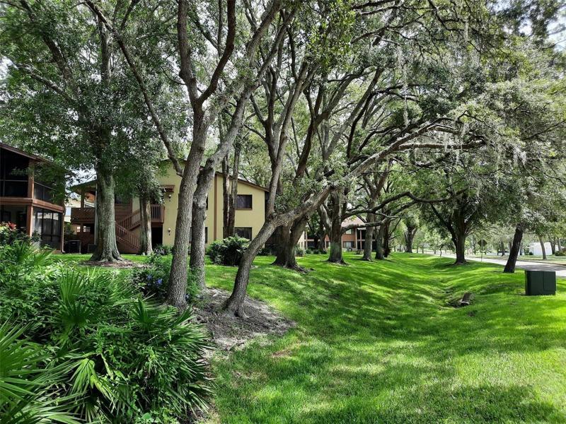 Beautiful Landscaping