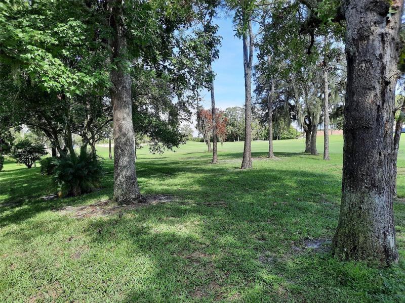 Trees, trees, trees - they don't call it Beacon Woods for nothing!