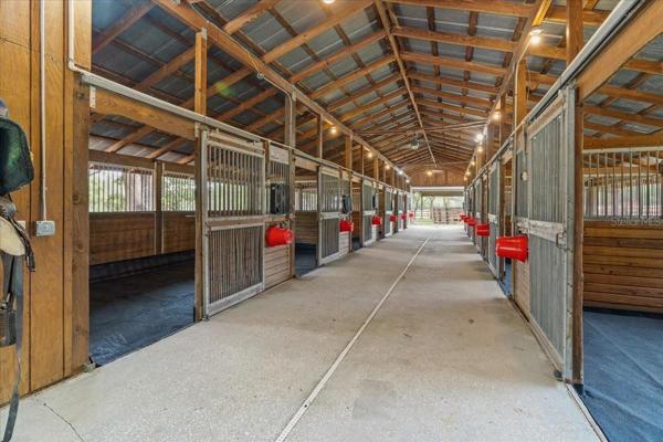 Stable #1