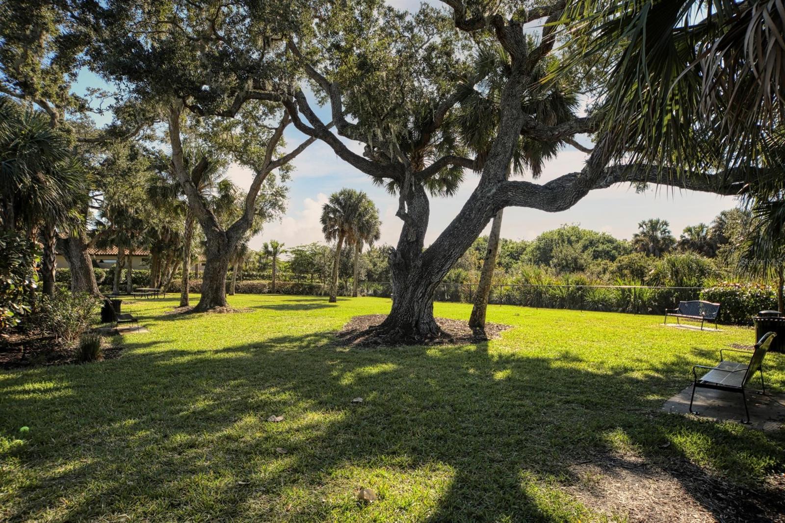 Gorgeous Park Like Setting