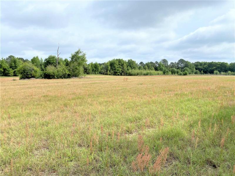 20 acres from tree line to tree line!