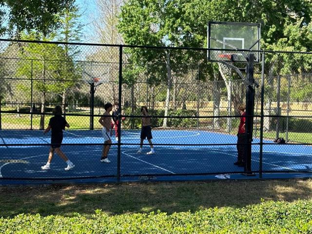 Ball Court