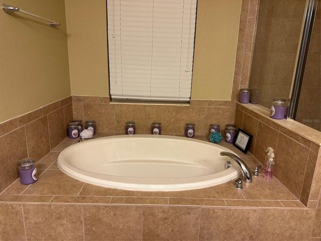 Soaking Bath and Walk in Shower