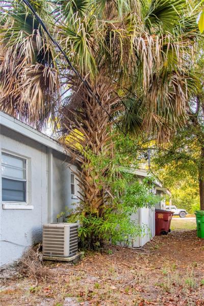 Exterior Rear 2