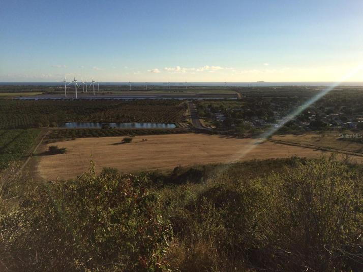 View from the top of the property.