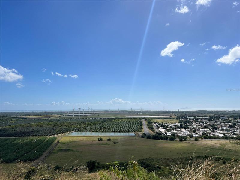View from the top of the property.