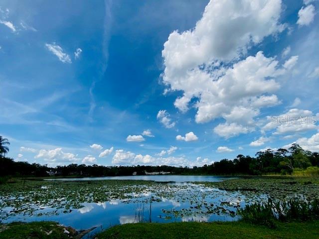 Lake Bosse