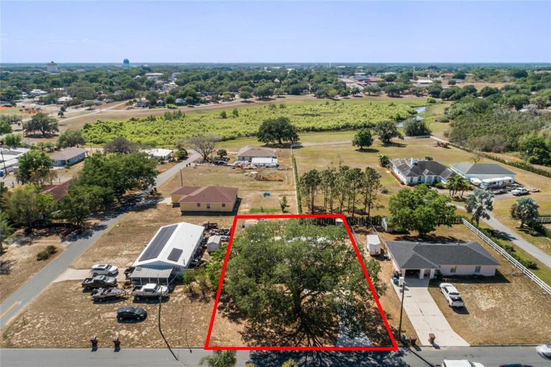 Mature Trees and Backyard View with Minimal Neighbors