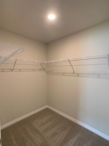 Generous walk-in closet