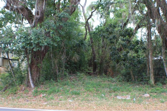STREET VIEW OF LOT 10 FROM CONCORD DRIVE.