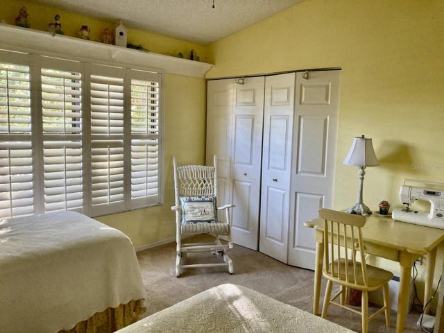 Planation shutters.
