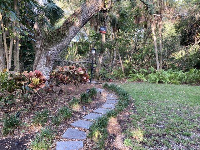 Back path.