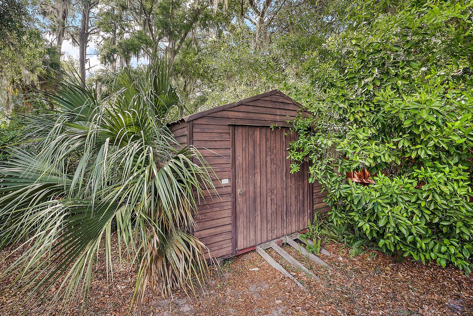 SHED