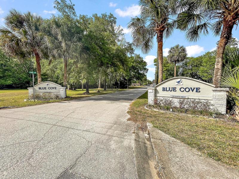 BLUE COVE
