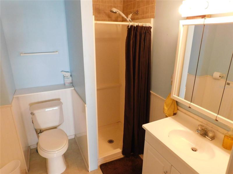 Guest bathrom has updated step-in shower, high toilet, and vanity.