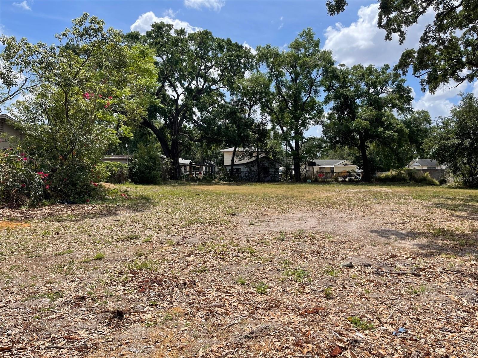 No Tree removal Needed