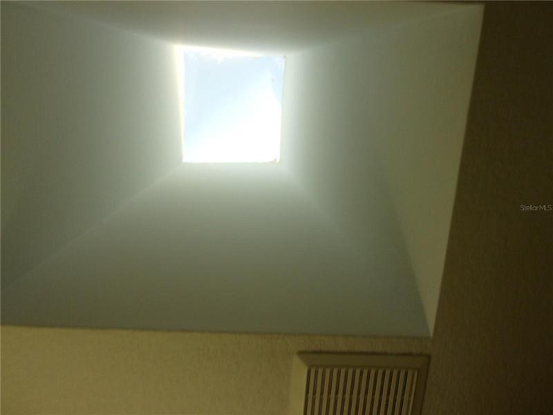 bathroom skylight