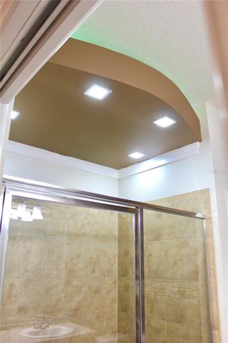 Master Shower