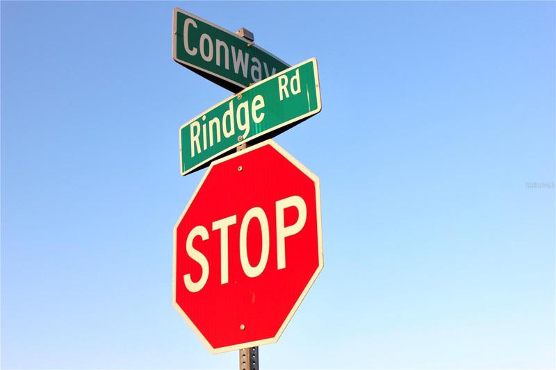 Street Crossing