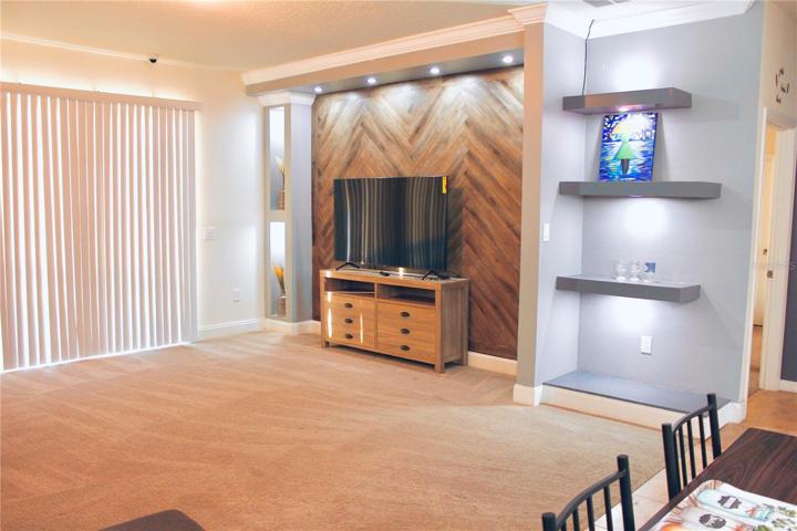 Entertainment Wall