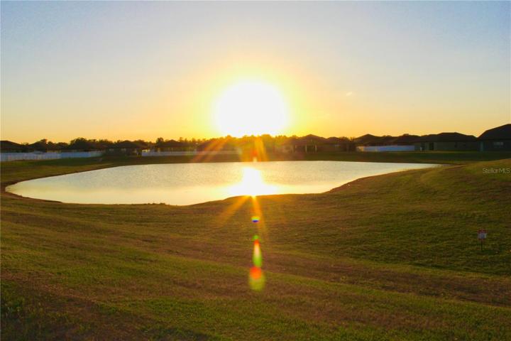 Pond in your backyard