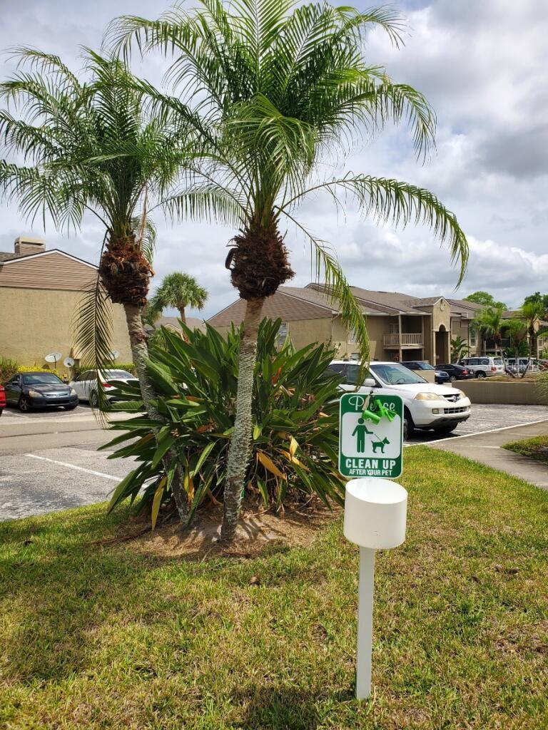 Pet Walk Area