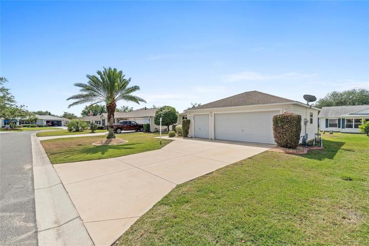 Driveway View