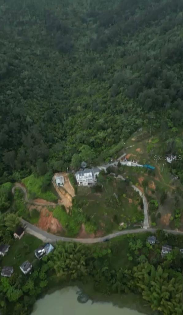 Aerial View of the property