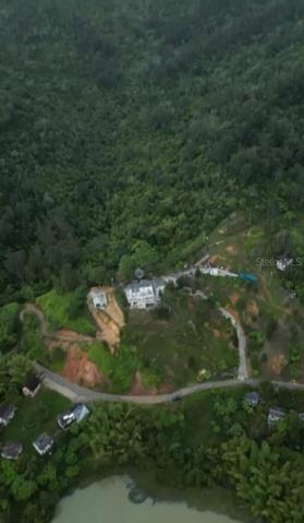 Aerial View of the property