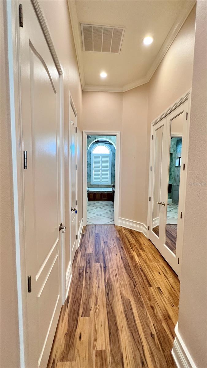 Master Bedroom Closets