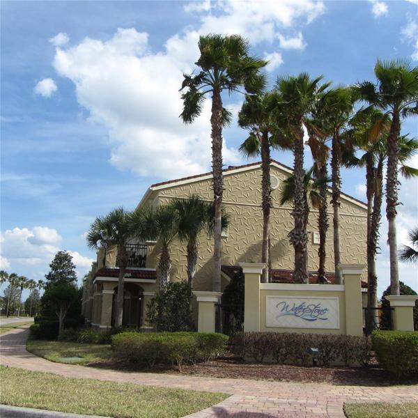 Beautiful palm trees