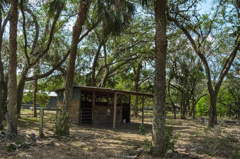 Storage shed 
