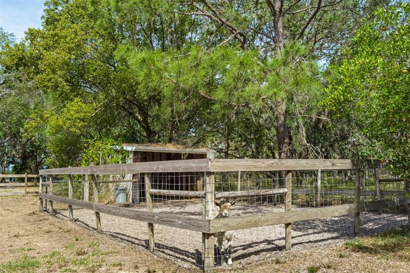 Goat pen