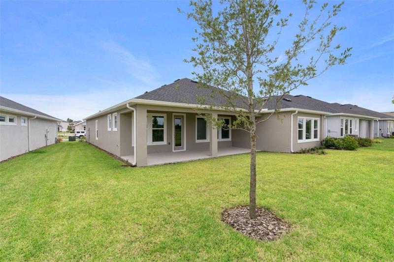 Rear Exterior