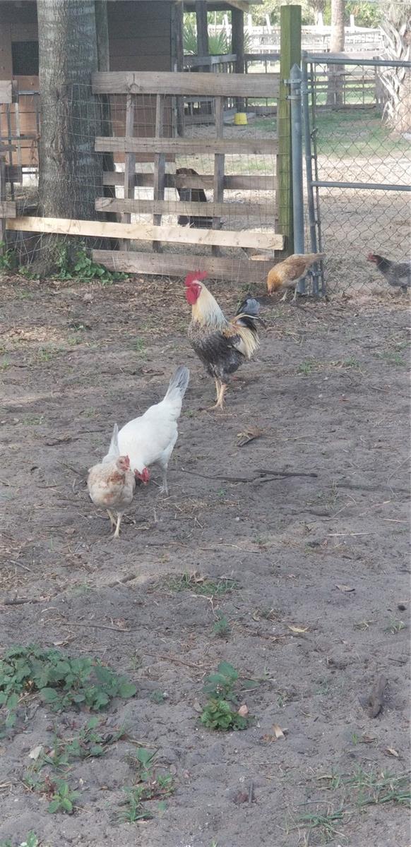 Some of the neighbors